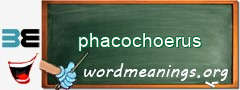 WordMeaning blackboard for phacochoerus